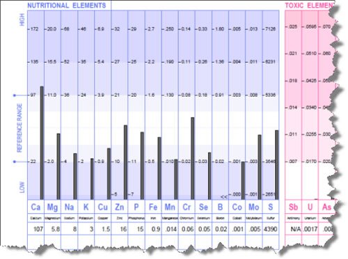Hair Tissue Mineral Analysis