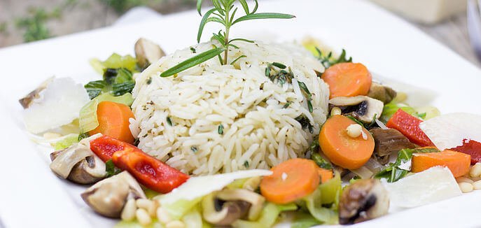 Low Carb Diet 101 Low Carb Diet 101