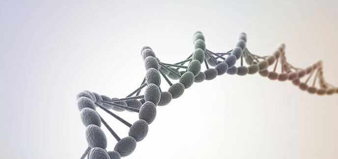 Effects of Chronic Stress On DNA Effects of Chronic Stress On DNA