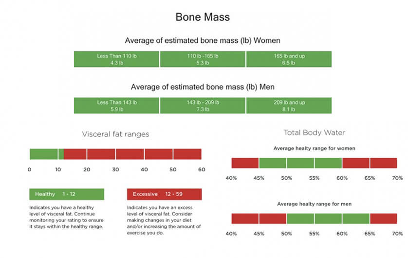Bone Mass