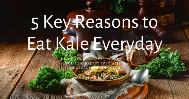 5 Key Reasons to Eat Kale Everyday