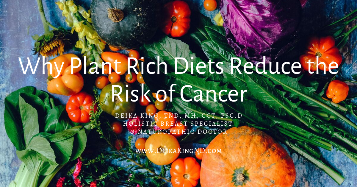 Why Plant Rich Diets Reduce Risk for Cancer